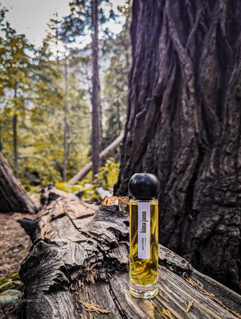 A bottle of perfume photographed near trees